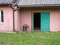 SF 2013_przygot_25